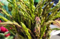 le verdure di marzo
